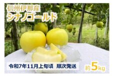 【012-14】令和7年11月上旬発送　日持ちもよく、大人気、シナノゴールド5キロ（りんご・リンゴ・林檎）