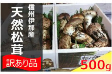 【145-01】信州伊那の松茸 500g（訳あり品につきご家庭用です）