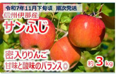 【010-33】令和7年11月下旬発送　信州のサンふじ　3キロ！（りんご・リンゴ・林檎）