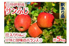 【010-a3】令和7年11月下旬発送　信州のサンふじ　訳あり　5キロ！（りんご・リンゴ・林檎）