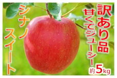 【010-16】令和7年10月上旬発送　シナノスイート　訳あり　約5キロ！　信濃三兄弟の一つ（りんご・リンゴ・林檎）
