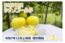 【010-17】令和7年11月上旬発送　信州のシナノゴールド　3キロ！　信濃三兄弟の一つ（りんご・リンゴ・林檎）
