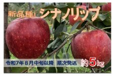 【015-37】令和7年8月中旬発送　新品種！　信州のシナノリップ　5キロ！　信濃三兄弟の一つ（りんご・リンゴ・林檎）