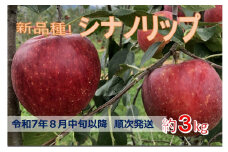 【011-90】令和7年8月中旬発送　新品種！　信州のシナノリップ　3キロ！　信濃三兄弟の一つ（りんご・リンゴ・林檎）