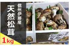 【360-03】信州伊那の松茸 1kg（贈答用）