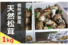 【360-03】信州伊那の松茸 1kg（贈答用）