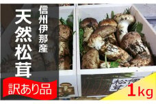 【290-01】信州伊那の松茸 1kg（訳あり品につきご家庭用です）