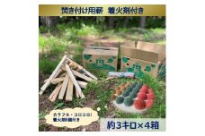【012-26】信州産焚き付け用薪　カラフルでコロコロした着火剤付き（6個入）　約3キロ×4箱