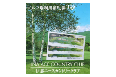 【010-45】伊那エースカントリークラブ　ゴルフ場利用補助券　3000円分
