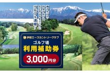 【010-45】伊那エースカントリークラブ　ゴルフ場利用補助券　3000円分