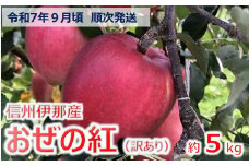 【010-47】令和7年9月ごろ発送　信州のりんご　おぜの紅　訳あり家庭用　約5キロ