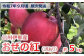 画像はイメージです。
