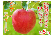 【013-45】令和7年10月上旬頃発送　信州のりんご　シナノスイート　厳選！小玉食べきりサイズ！　約5キロ