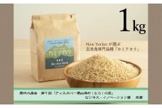 【009-08】　【幻の玄米】　自然栽培　カミアカリ　玄米　1kg