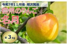 【010-57】令和7年11月ごろ発送　信州のりんご　名月　約3kg