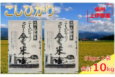 【019-05】JA上伊那　令和６年産　コシヒカリ　今ずり米　10㎏　（5kg×2袋）