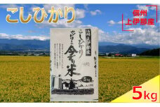 【010-68】JA上伊那　令和６年産　コシヒカリ　今ずり米　5kg　1袋