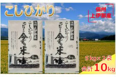 【024-15】JA上伊那　コシヒカリ　今ずり米　10㎏　（5kg×2袋）
