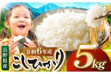 米 5kg  コシヒカリ 令和6年産 JA上伊那 令和６年産 コシヒカリ 今ずり米 5kg  長野 上伊那産 お米 長野県産 こしひかり 5キロ 白米 精米 信州産 特産 産地直送 おすすめ こめ コメ おこめ 送料無料 長野県 伊那市 【014-44】