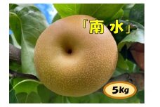 【013-15】【数量限定】ガブッ！シャキ！ジュワー！と甘すぎ南水（梨　南水　5キロ）