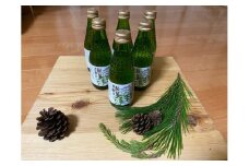 【010-70】信州高遠産赤松:松葉炭酸水180ml×6本1箱