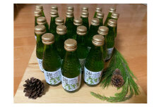 信州高遠産赤松:松葉炭酸水180ml×6本4箱 | 長野県 伊那市 松葉健康法 松葉 高遠 高遠里山の風 里山 再生 保全 松 松葉 炭酸 森林浴 信州 長野県産 【036-08】