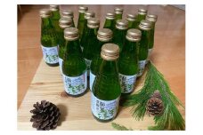 【027-03】信州高遠産赤松:松葉炭酸水180ml×6本3箱