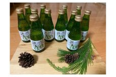 【019-07】信州高遠産赤松:松葉炭酸水180ml×6本2箱