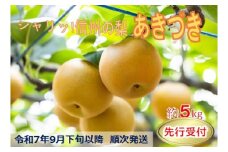 【018-20】令和7年9月下旬ごろ発送　シャリッとしてみずみずしい梨！あきづき　5キロ　信州のジューシーな梨!（なし・梨・ナシ・あきづき）