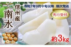 【013-38】令和7年9月中旬ごろより発送　本当に甘い信州が生んだ甘い梨！南水　約３キロ（なし・梨・ナシ・なんすい）