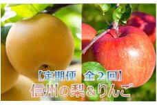 【024-07】【定期便全２回】信州の梨＆りんご　品種おまかせ　約3キロ（9月：梨、11月：りんご）