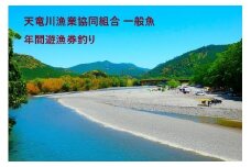 天竜川漁業協同組合　一般魚　年間遊漁券|鑑札 渓流 釣り券 漁業券 入漁券 一般漁 ウグイ イワナ ワカサギ アマゴ ほか アユ FISHPASS アプリ インストール 必要 伊那市 信州 体験 ふるさと納税【037-10】