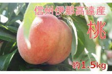 【010-82】高遠産　桃　1.5ｋｇ　おまかせ３品種