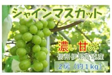 【010-83】信州高遠産　種なし　シャインマスカット　２房　約１kg　寒暖の差が生み出す濃厚な甘味、一度は食べてみて！