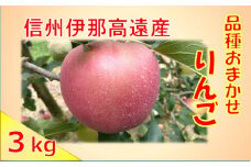 【009-42】信州高遠町産　ご家庭用　りんご　約３kg　品種おまかせ