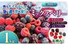 ベリー ミックス 信州 伊那産 冷凍 ミックスベリー 1kg 国産 ベリー 3種 ：ラズベリー ・ ブラックベリー ・ ブルーベリー | 果物 フルーツ ベリー 手摘み 急速冷凍 木の実 スムージー ビタミンC 長野県 伊那市 【019-13】