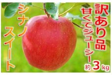 【009-51】シナノスイート　訳あり　約3キロ！　信濃三兄弟の一つ（りんご・リンゴ・林檎）