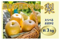 【013-40】信州の梨　品種おまかせ　約３キロ