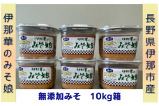 味噌 伊那華のみそ娘 みそ 10kg箱｜味噌 みそ 調味料 伊那 いな 長野県 ふるさと納税 大豆 お土産【026-11】