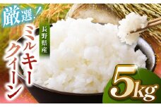 米 5kg ミルキークイーン 令和7年産 市場の目利きが選ぶお米 5kg ミルキークイーン | 米 お米 主食 精米 白米 ミルキークイーン 長野県 伊那市 信州産 2025年10月上旬から発送 【014-37】