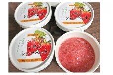 【いちご農家直送！】こだわりのいちごシャーベット（約80g×10）[№5659-1031]