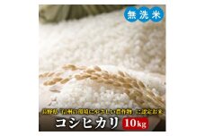 令和6年度産【無洗米】長野県産「特別栽培米コシヒカリ１等級」（10kg）マイ・ファーム中坪[№5659-1042]