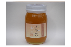 信州駒ヶ根産「百花蜂蜜」（600g）[№5659-1120]