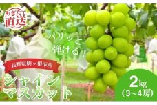 シャインマスカット 2kg （3～4房） 長野 農家からもぎたて直送 ぶどう 種なし 皮ごと 産地直送 フルーツ 果物 デザート おやつ マスカット ブドウ 葡萄 秋 旬 駒ヶ根市産 信州 長野県 長野県産 [№5659-1127]