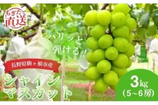 シャインマスカット 3kg （5～6房） 長野 農家からもぎたて直送 ぶどう 種なし 皮ごと 産地直送 フルーツ 果物 デザート おやつ マスカット ブドウ 葡萄 秋 旬 駒ヶ根市産 信州 長野県 長野県産 [№5659-1128]