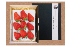 【特選贈答用】南信州産「いちご」（5Lサイズ以上×9粒・500g）【信州駒ヶ根いちご園】[№5659-1134]