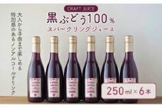 「黒ぶどう」100％スパークリングジュース（250ml×6本）[№5659-1148]