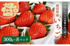 南信州産「いちご」 (300g×8パック)　【ヨッシャア駒ヶ根】[№5659-1179]