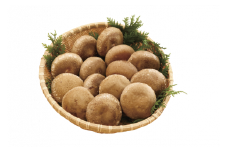 【アルプスの極】椎茸（約1kg /20～26個入）[№5659-1208]