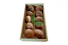 【アルプスの極】特大椎茸（約550g/8～10個入）[№5659-1209]